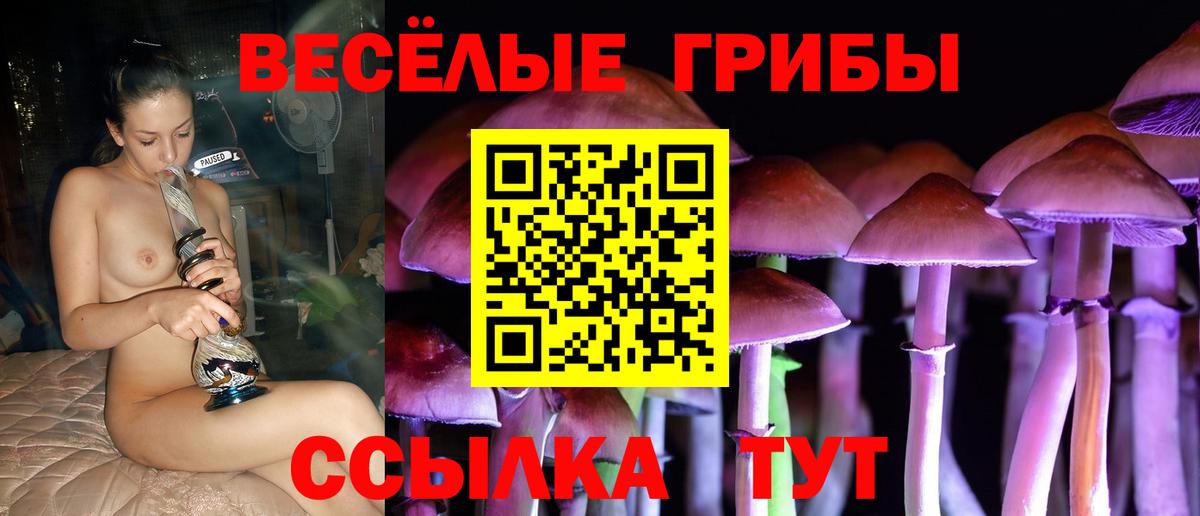 Галлюциногенные грибы прущие грибы Трёхгорный