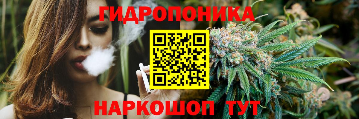 Конопля SATIVA & INDICA  Конопля марихуана  Вход с VPN  МАРИХУАНА конопля  Трёхгорный 